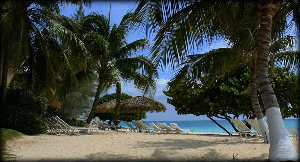 Caribbean Club Boutique Hotel, Grand Cayman Dog City Exteriér fotografie